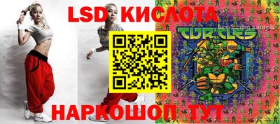 стафф Будённовск