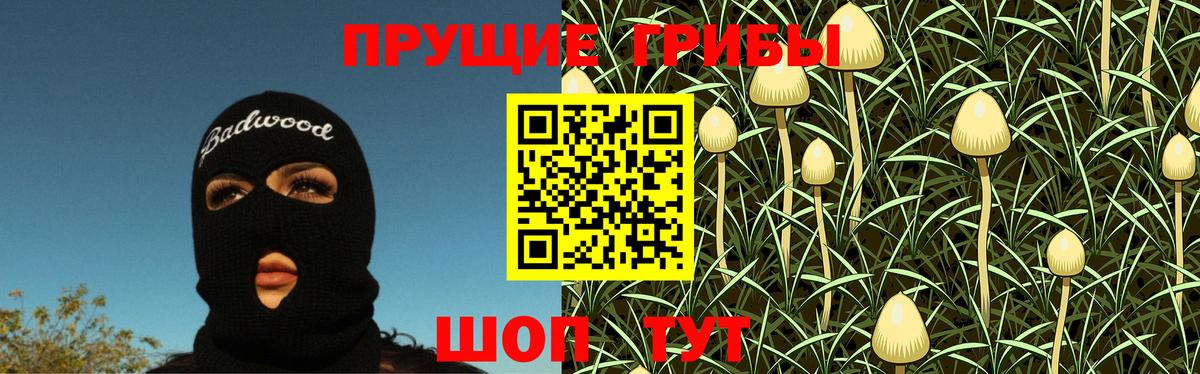 Семёнов  как найти закладки  Вход с VPN  Галлюциногенные грибы прущие грибы 